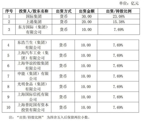 上海新設(shè)國企聚焦信息咨詢服務(wù)，打造數(shù)字化轉(zhuǎn)型新引擎